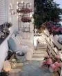 user_23343