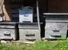 пчелиные домики, корпуса