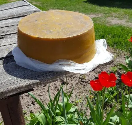 пчелиный очищенный воск, 30 кг. - Добруш - 10417 - Доска объявлений Kupika.by - Фото 2