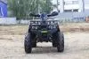 Квадроцикл MOTOLAND 200 WILD TRACK LUX