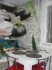 1 квартира. Ф.Скорины,41А Долгосрочно Рядом ПВТ