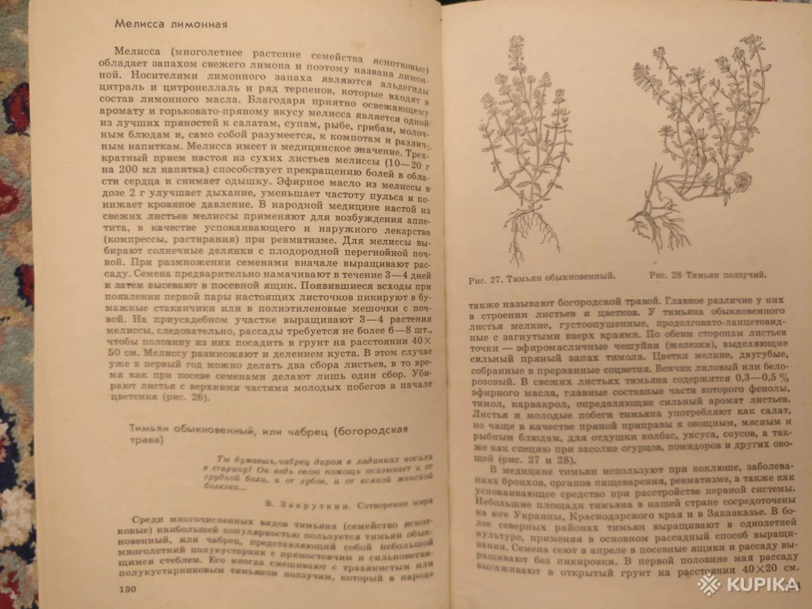 '70 видов овощей на огороде',-автор Шуин К.А книга