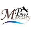 Питомник MercuryPuppy