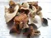 грибы сушеные отборный (белый гриб (боровик))