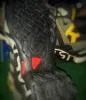 Кроссовки Adidas TERREX
