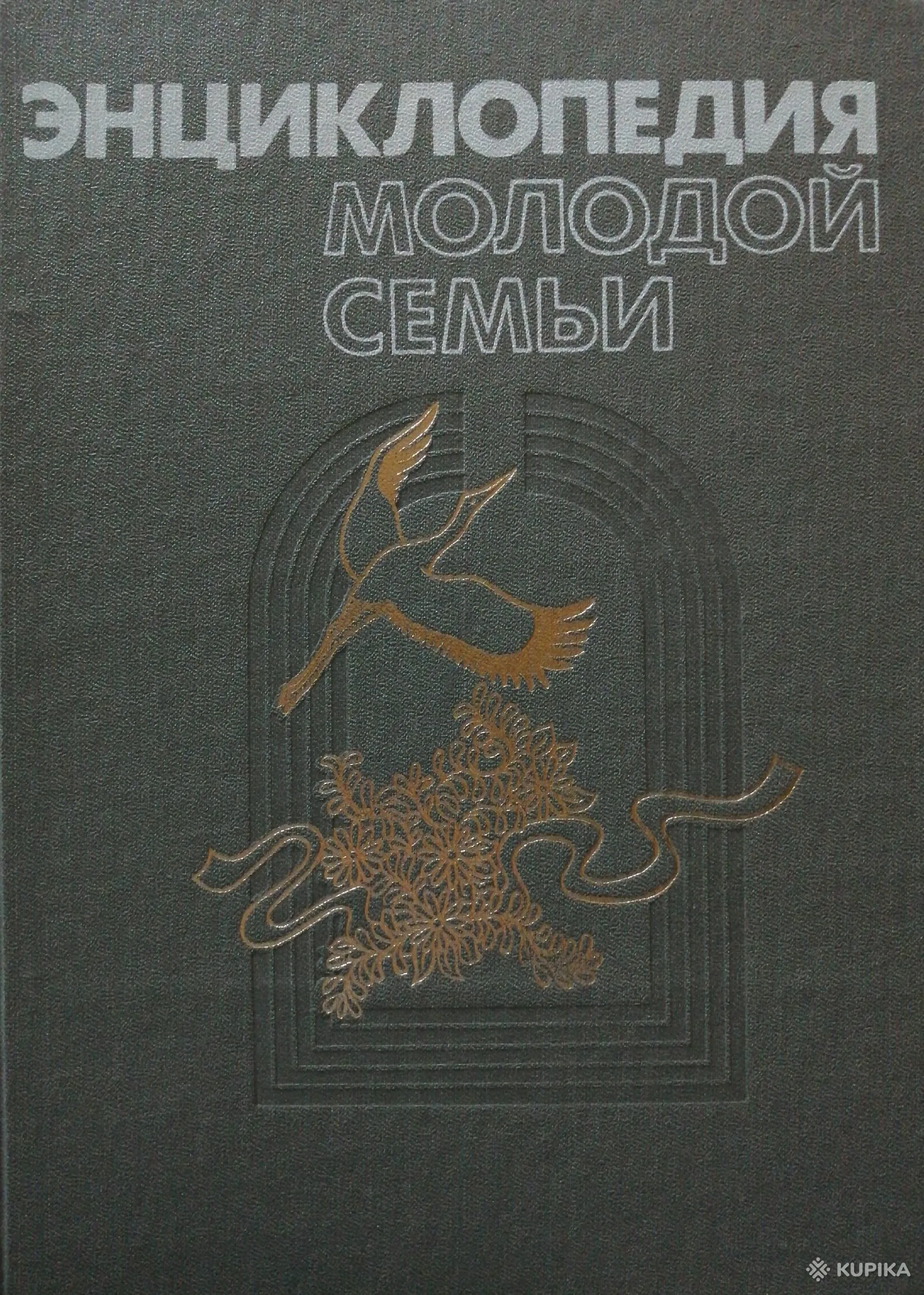 Книга. Энциклопедия молодой семьи, Минск, 47162