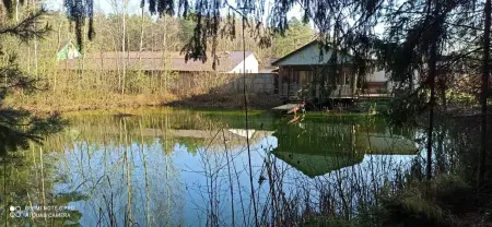 Баня Беседка на берегу озера Бильярд