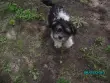 Игорь