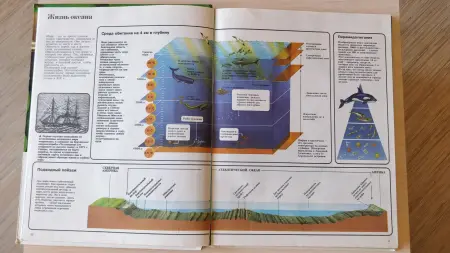 'Жизнь',- серия 'Энциклопедия юного учёного'