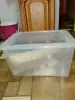 Для грызунов контейнер
