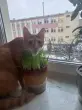 user_30810