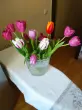 user_32402