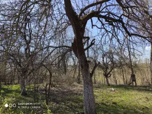 Продаю жилой дом с участком под дачу