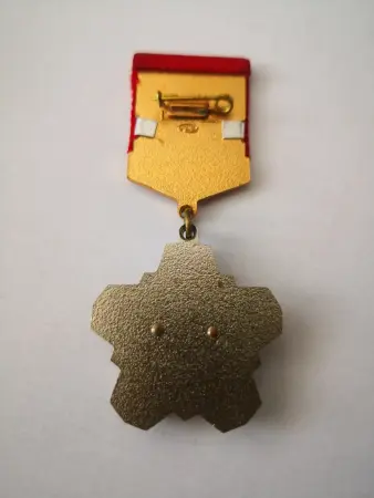 Знак ЦК ВЛКСМ БАМ. Снежинка