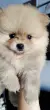 user_32706