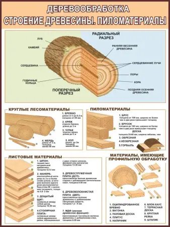 Деревообработка.Учебные плакаты для школы и колледжа