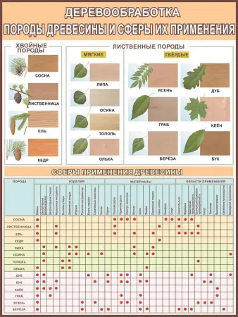 Деревообработка.Учебные плакаты для школы и колледжа