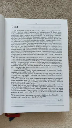 Чешско-русский словарь