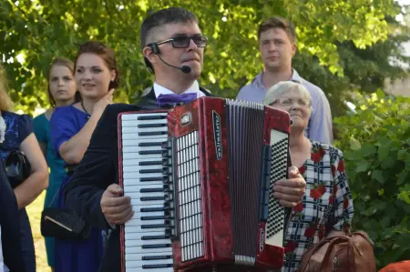 Ведущий торжеств, шоу-программы