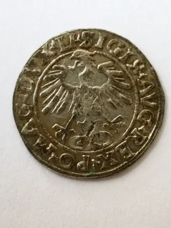 Полугрош 1556 г.