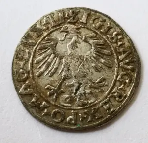 Полугрош 1556 г.