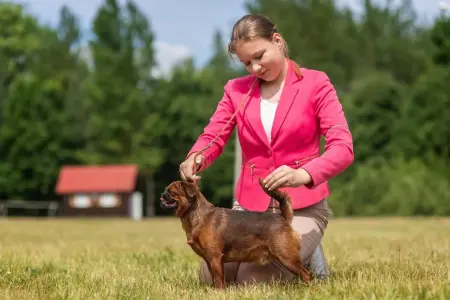 Услуги хендлера