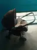 Детская коляска