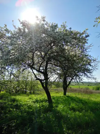 Продам дом, в деревне 10 км от центра.