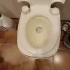 Туалет био портативный