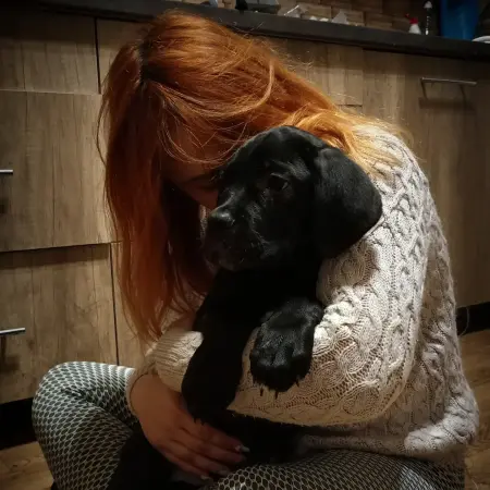 Щенки Кане Корсо