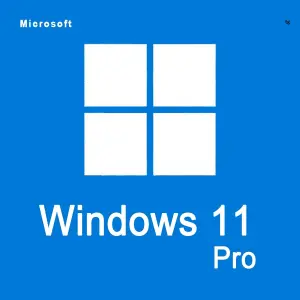 ОРИГИНАЛЬНЫЙ Бессрочный Retail ключ WINDOWS 11 Pro