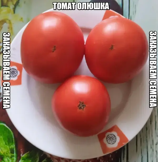 Томат ОЛЮШКА