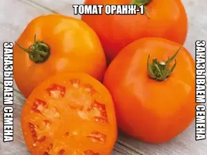 Томат ОРАНЖ 1