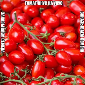 Томат ВКУС НА УКУС