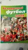 Журнал-буклет Белорусский футбол 2009.