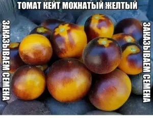 Томат МОХНАТЫЙ КЕЙТ желтый