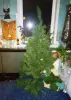 Ёлка искусственная новогодняя ель под 2 метра зеленая