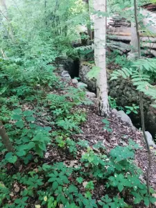 Сдам на сутки и более шикарную эксклюзивную старинную усадьбу!