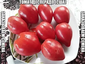 Томат ДЕСПЕРАДО