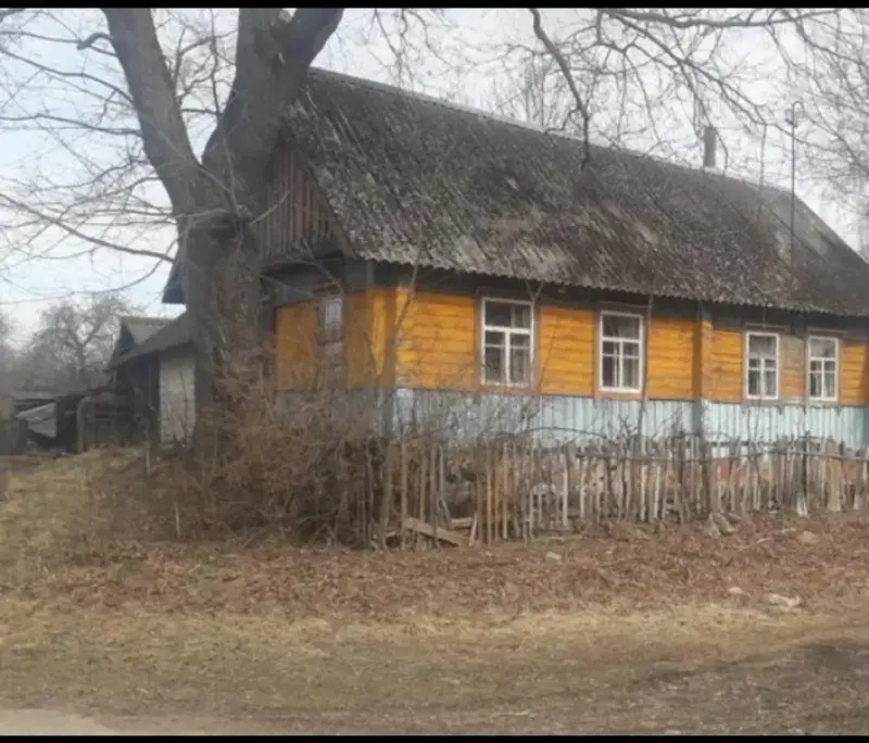 Белынический р-н д Васильки