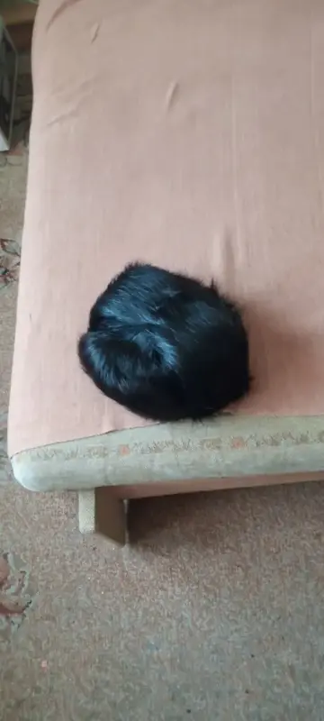 Мужские аксессуары - Шапка-ушанка нутриевая, размер 56-57 - Радунь Шапка-ушанка нутриевая, размер 56-57 - Радунь - 103587 - Доска объявлений Kupika.by