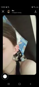 Щенок