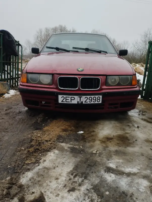 Е36 BMW