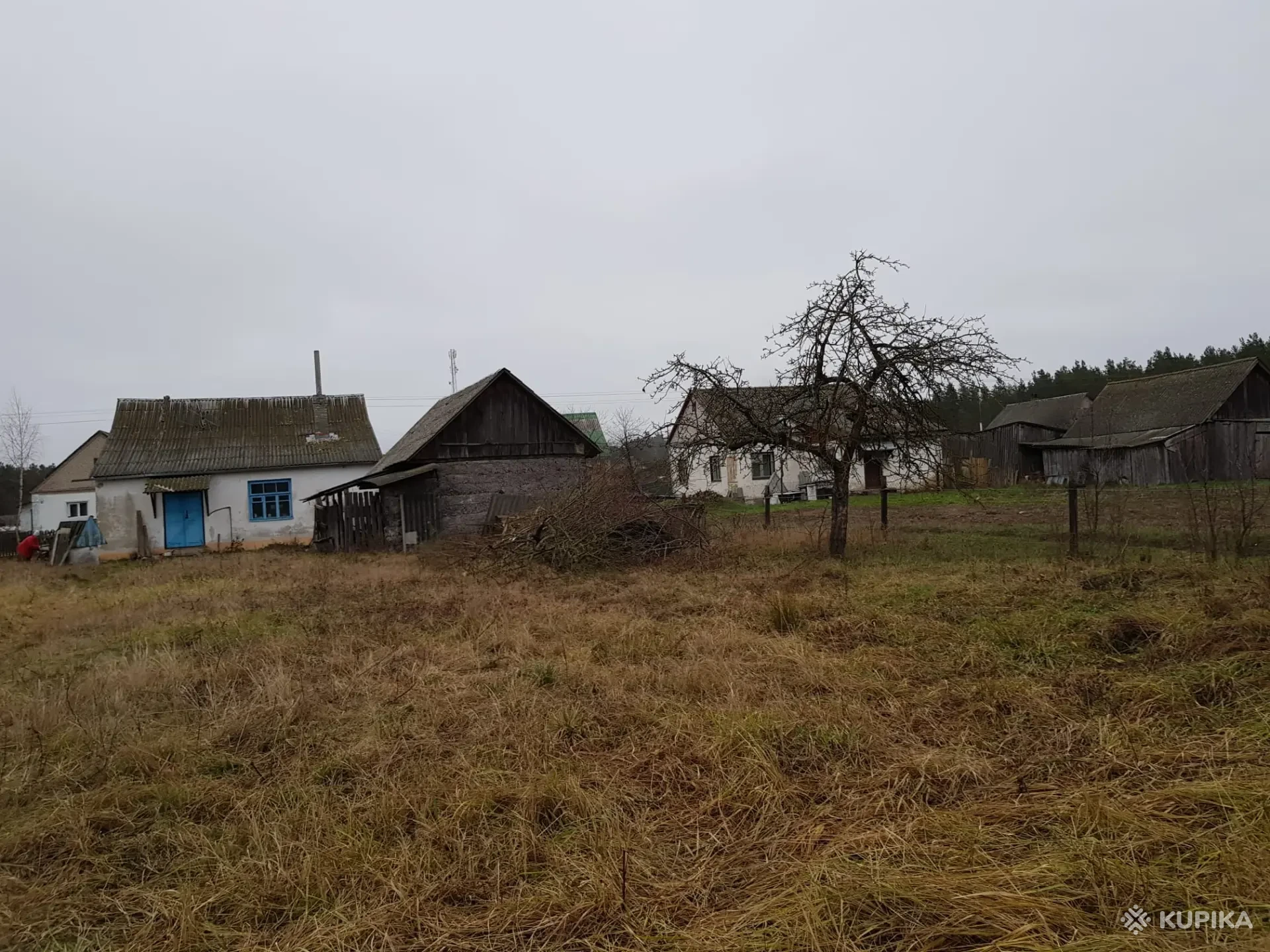 Купить Дом В Озерах Гродненской Области