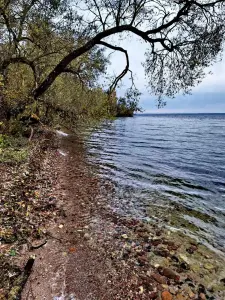 Для ценителей природной красоты участок в Нарочи