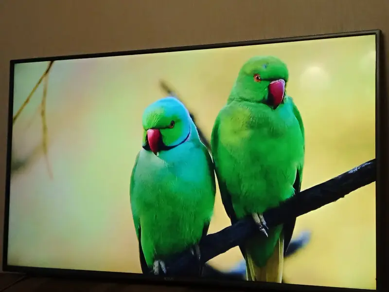 Телевизор  Kivi 50"  Wi-Fi, SMART TV, голосовой набор и др. (12.2020 г.в.)