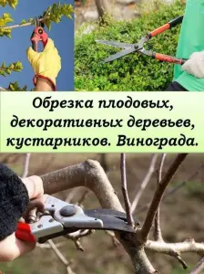 Обрезка деревьев.