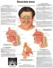 Болезни организма и травматология. Плакаты для колледжа и медучреждений