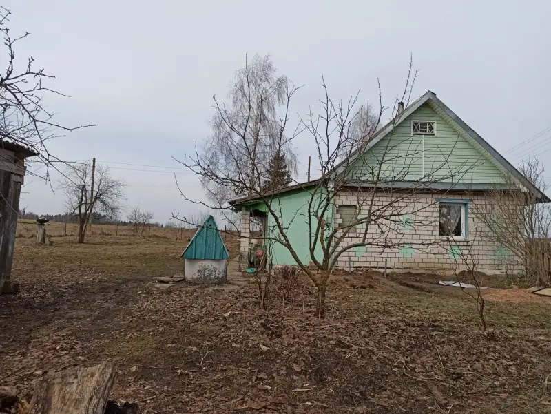 Жилой деревенский дом у озера (агрогородок) 41км от МКАД