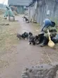 Валентина